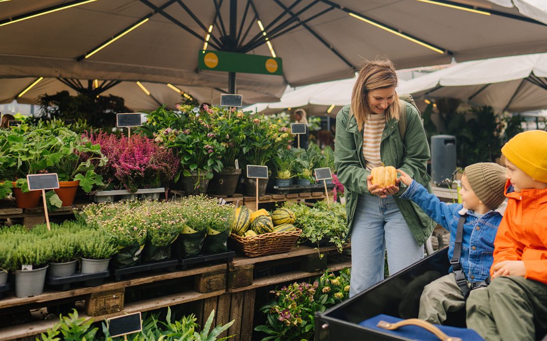 Brico et Jardin face aux arbitrages : 5 leviers promo pour relancer la demande